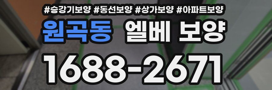원곡동 엘베 보양