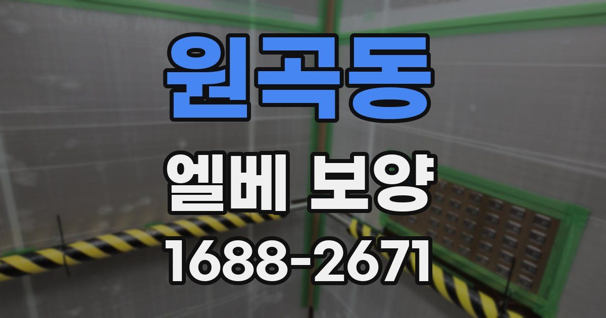 원곡동 엘베 보양