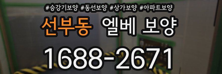 선부동 엘베 보양