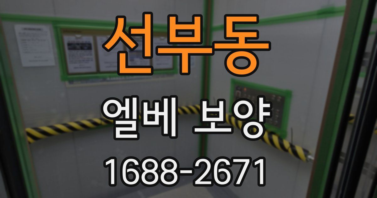 선부동 엘베 보양