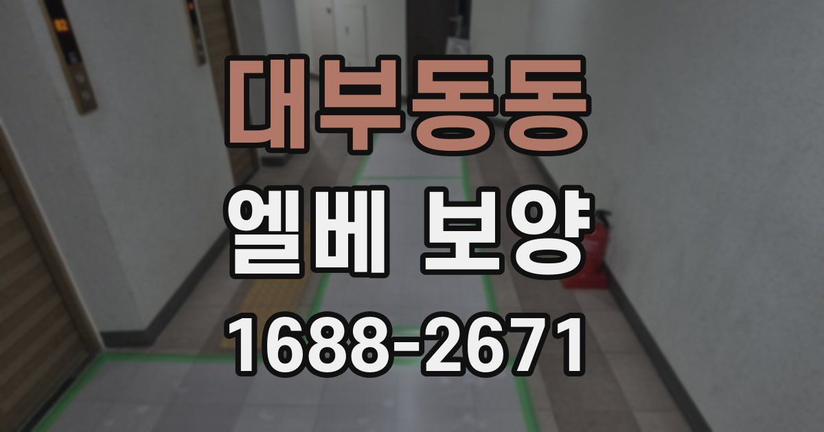 대부동동 엘베 보양