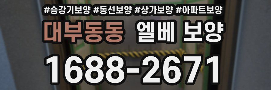 대부동동 엘베 보양