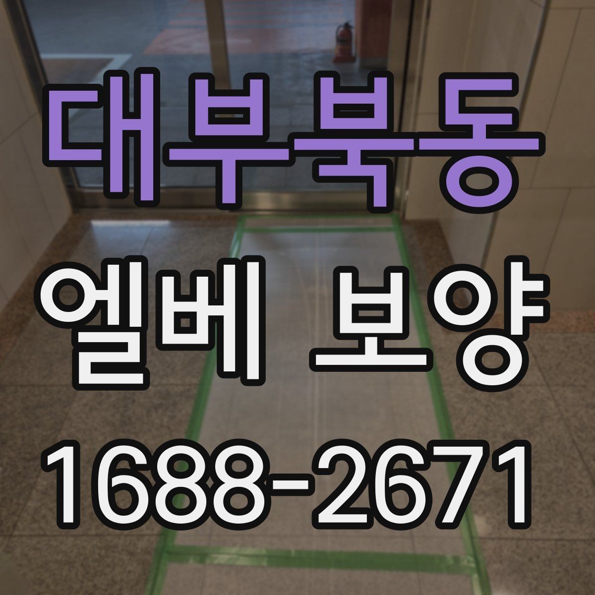 대부북동 엘베 보양 공용부 이동이 많은 아파트에서 챙길 점