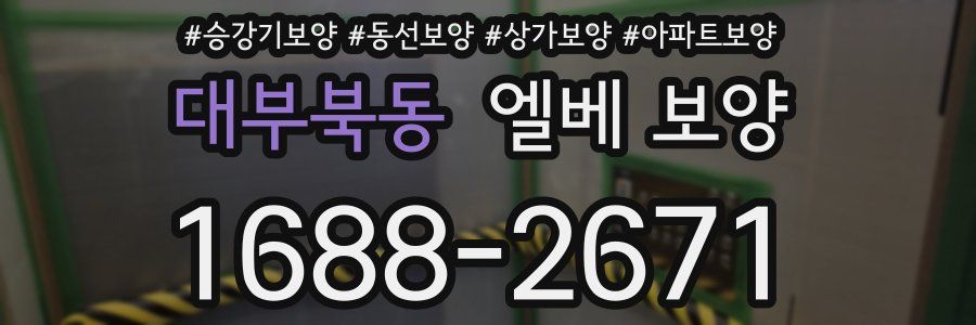대부북동 엘베 보양