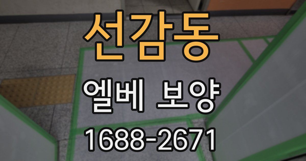선감동 엘베 보양