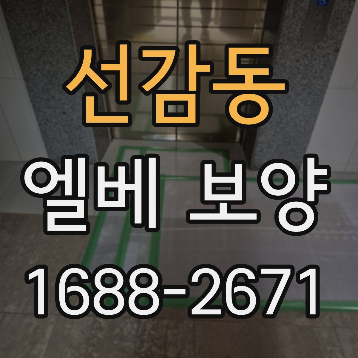 선감동 엘베 보양