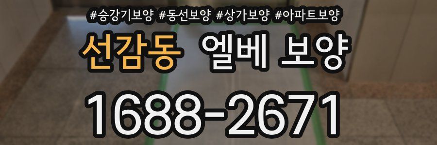 선감동 엘베 보양