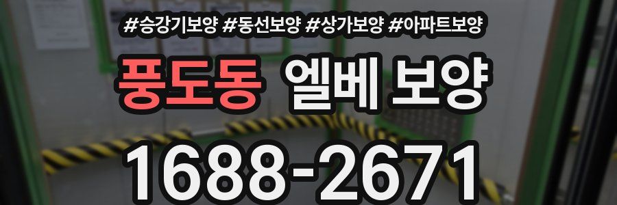 풍도동 엘베 보양