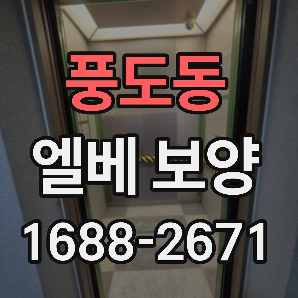 풍도동 엘베 보양