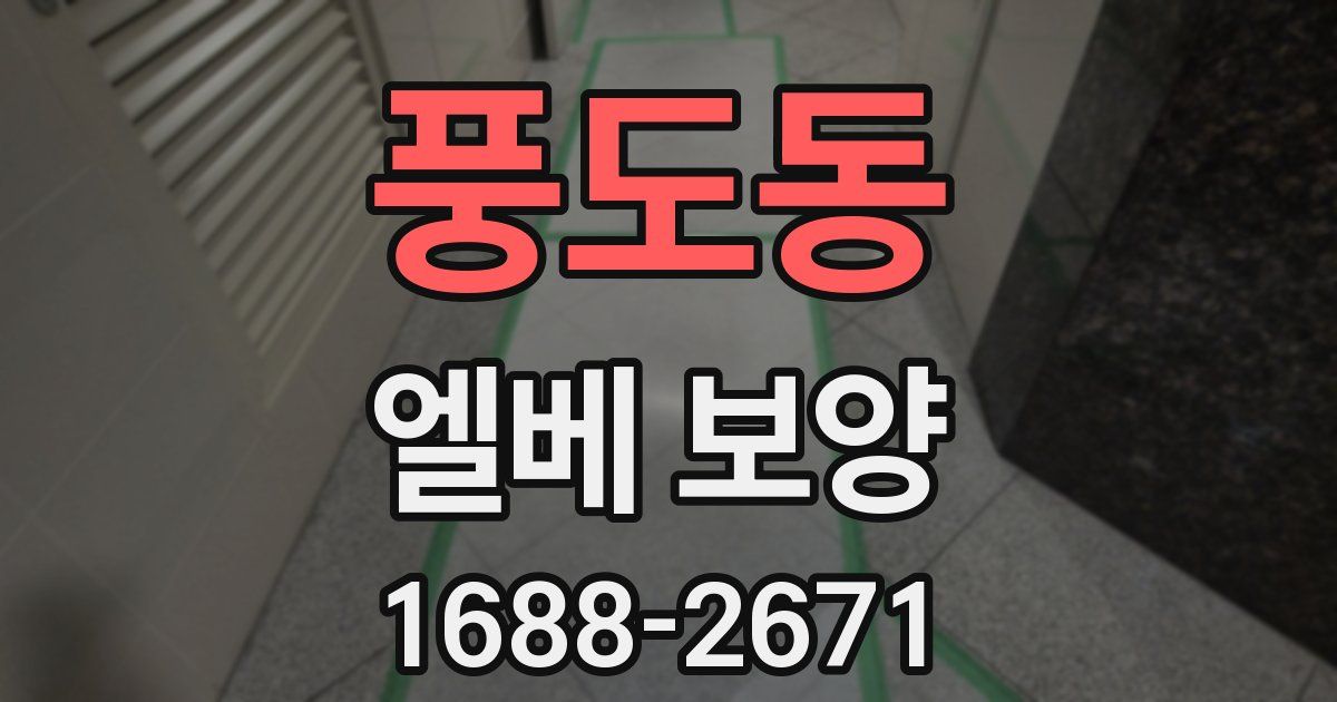 풍도동 엘베 보양