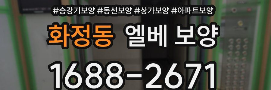 화정동 엘베 보양