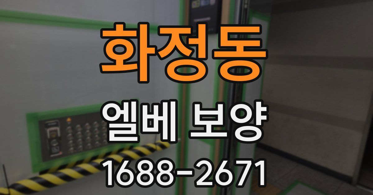 화정동 엘베 보양