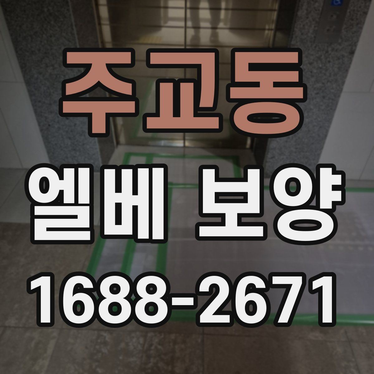 주교동 엘베 보양 문 주변 손상 방지를 위한 확인 항목