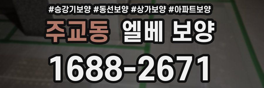 주교동 엘베 보양