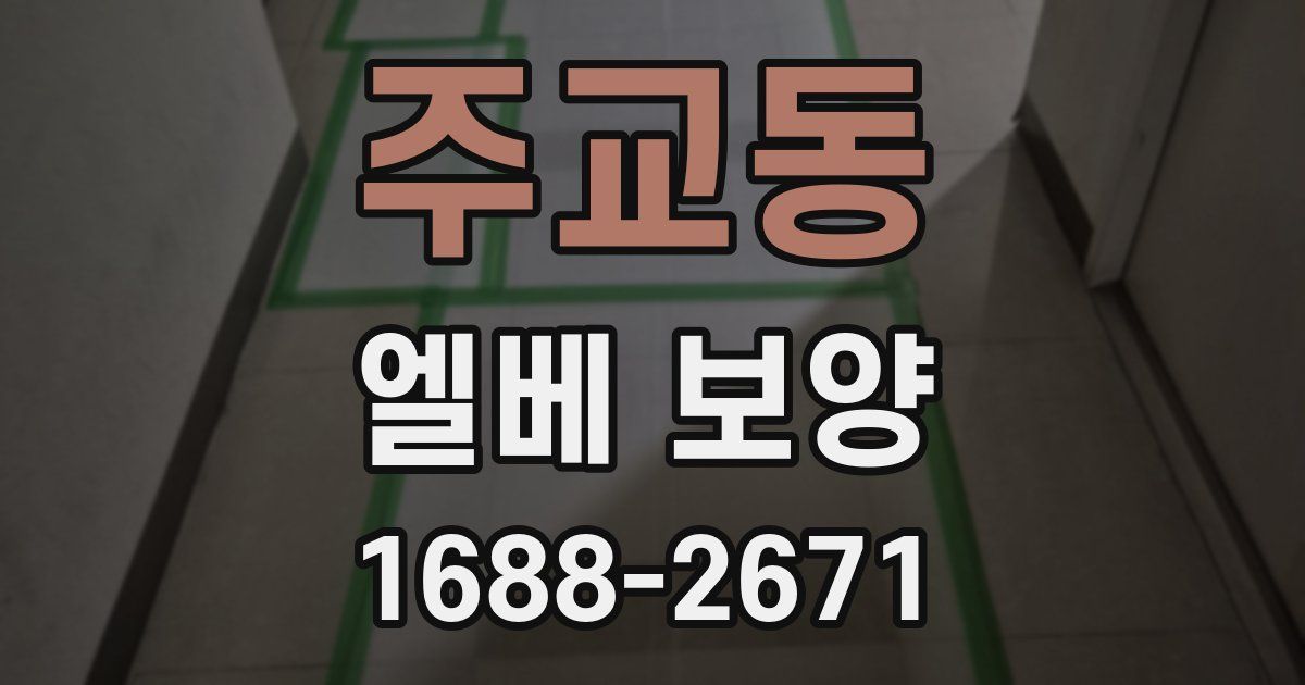 주교동 엘베 보양