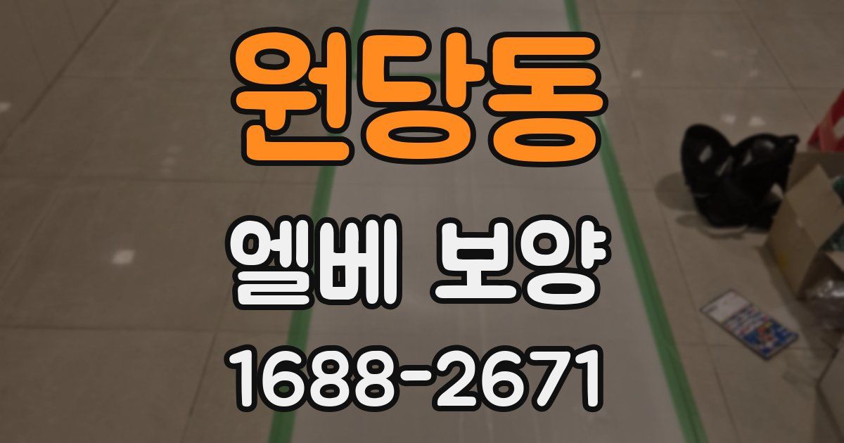 원당동 엘베 보양