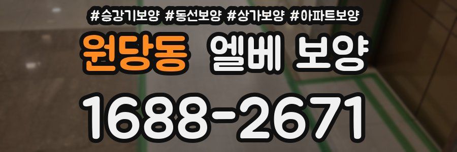 원당동 엘베 보양
