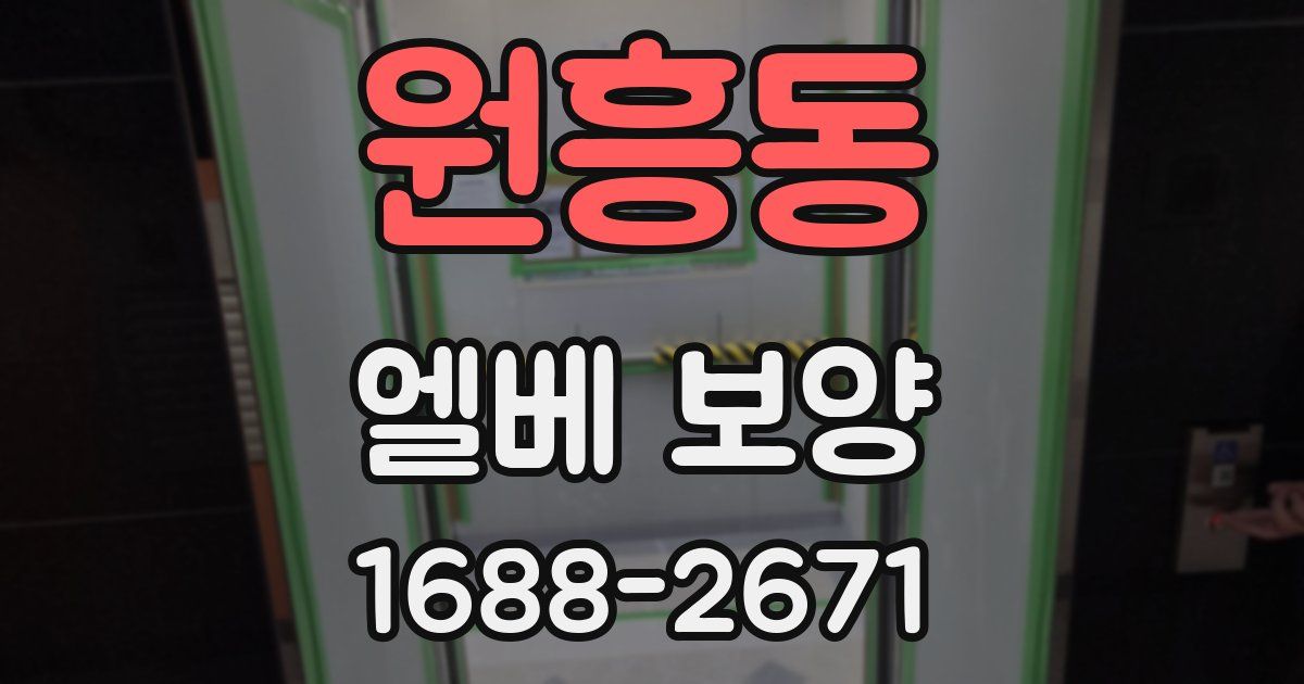 원흥동 엘베 보양