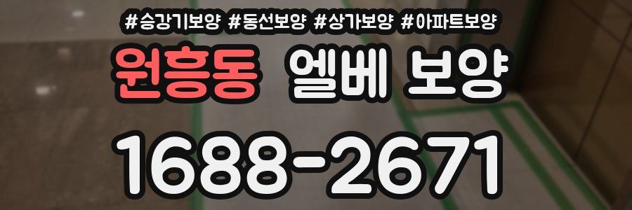 원흥동 엘베 보양