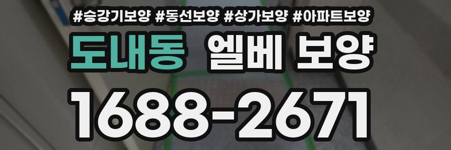 도내동 엘베 보양