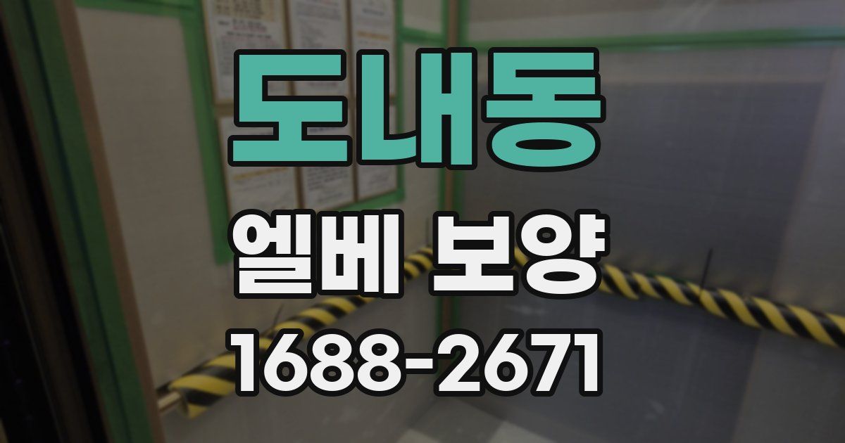 도내동 엘베 보양