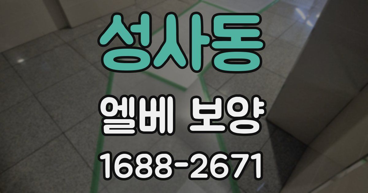 성사동 엘베 보양