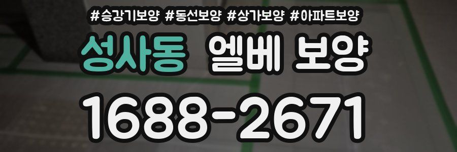 성사동 엘베 보양