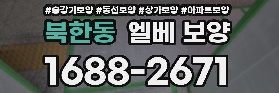 북한동 엘베 보양