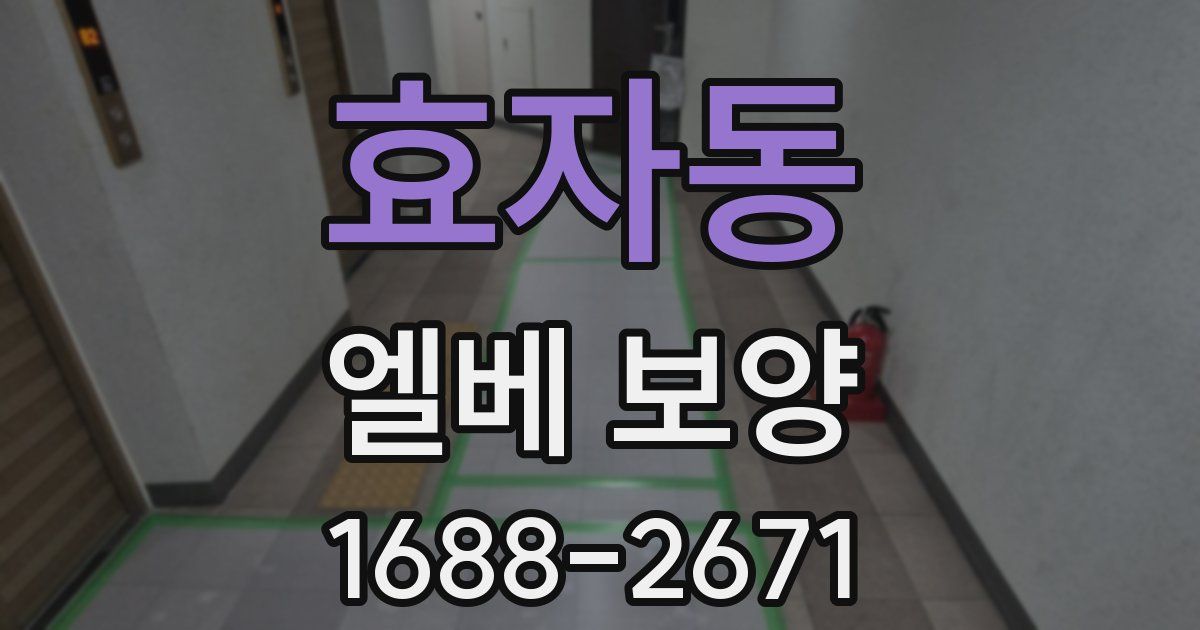 효자동 엘베 보양