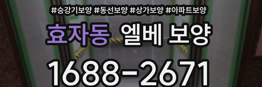 효자동 엘베 보양