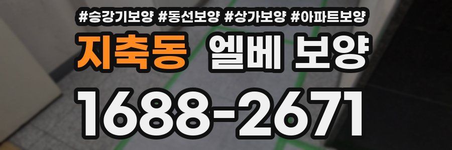 지축동 엘베 보양