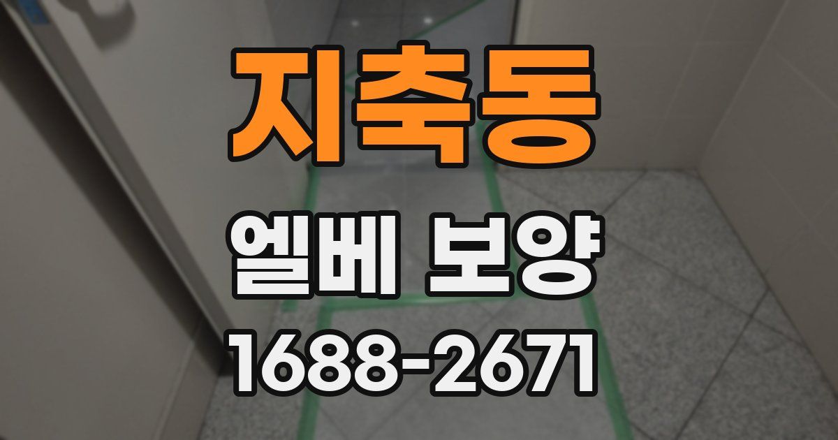 지축동 엘베 보양