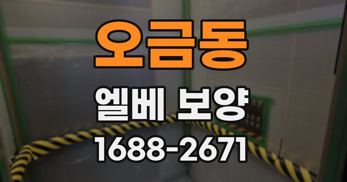 오금동 엘베 보양