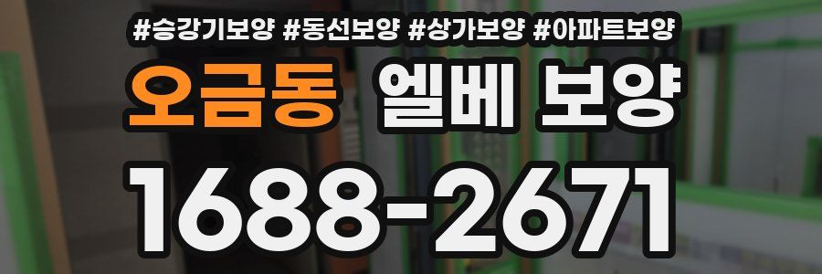오금동 엘베 보양