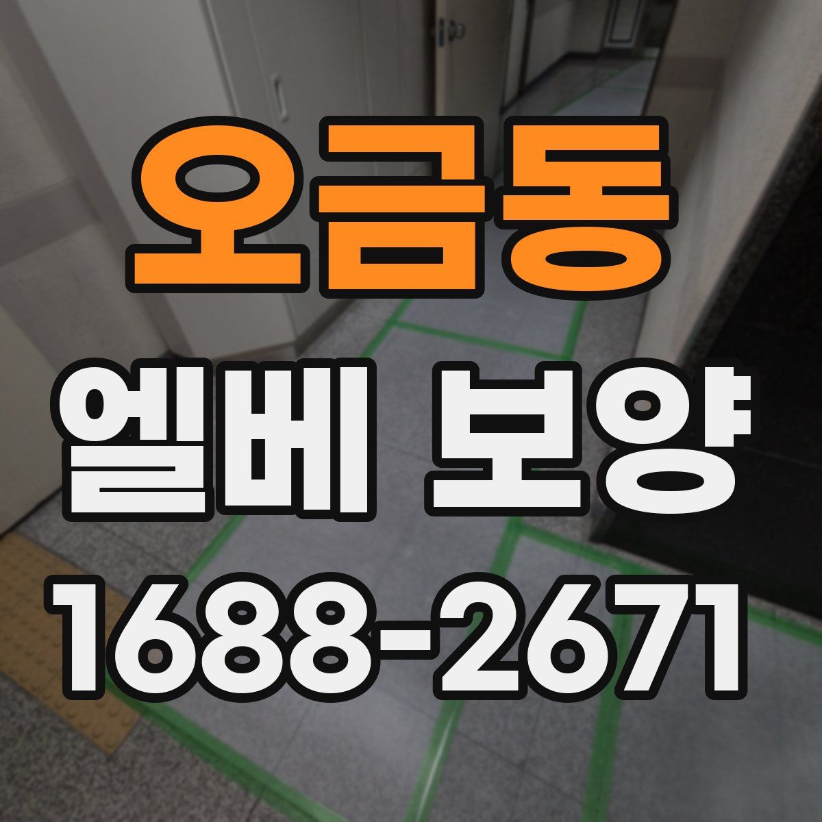 오금동 엘베 보양
