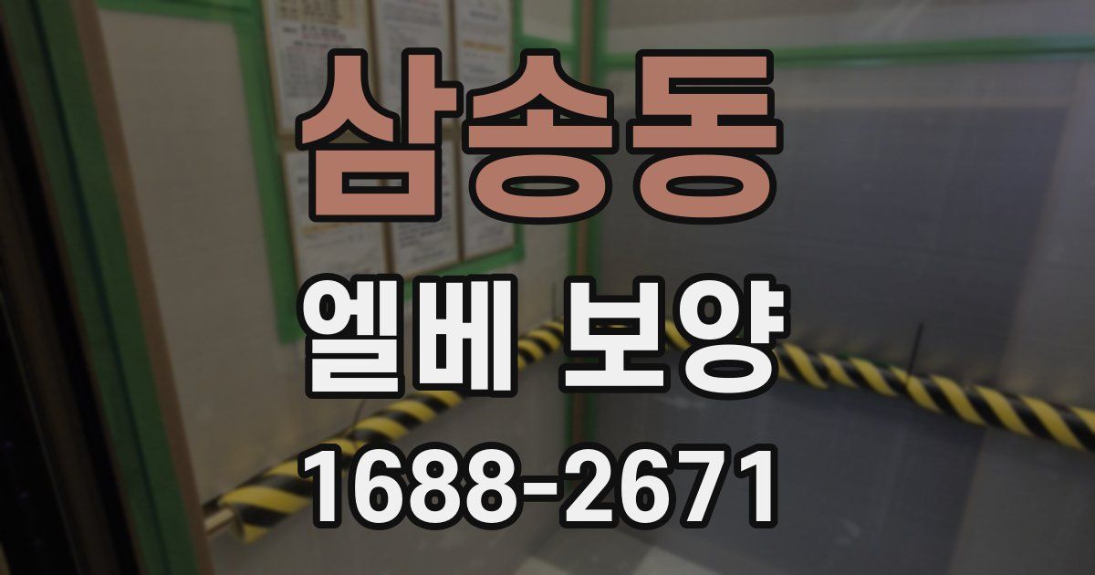 삼송동 엘베 보양