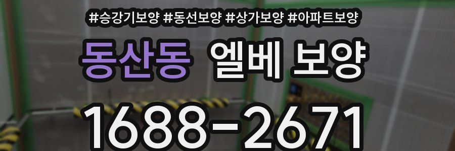 동산동 엘베 보양