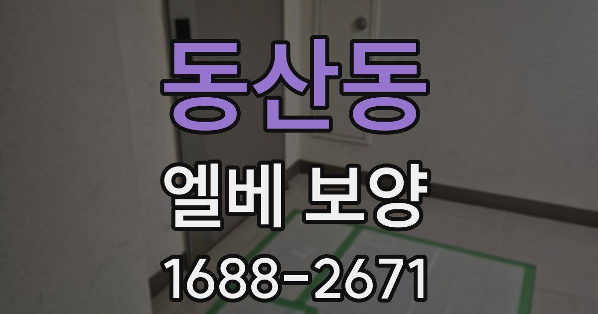 동산동 엘베 보양
