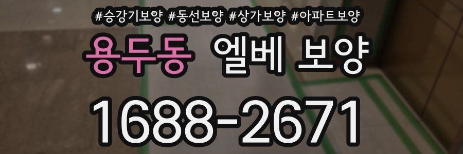용두동 엘베 보양