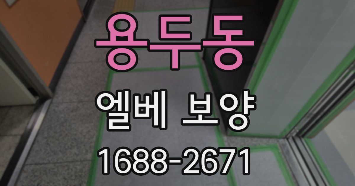 용두동 엘베 보양