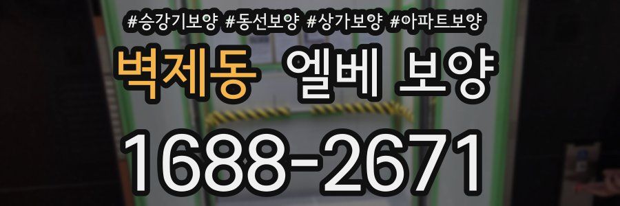 벽제동 엘베 보양