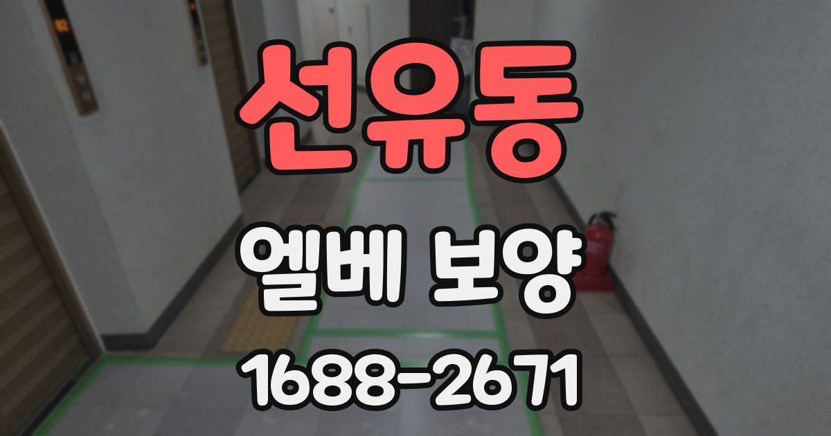선유동 엘베 보양
