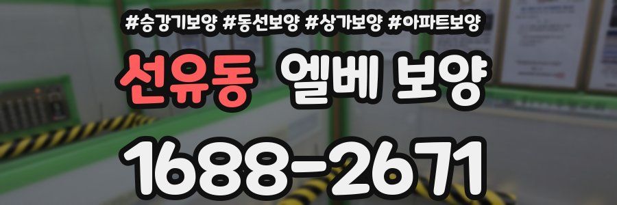 선유동 엘베 보양