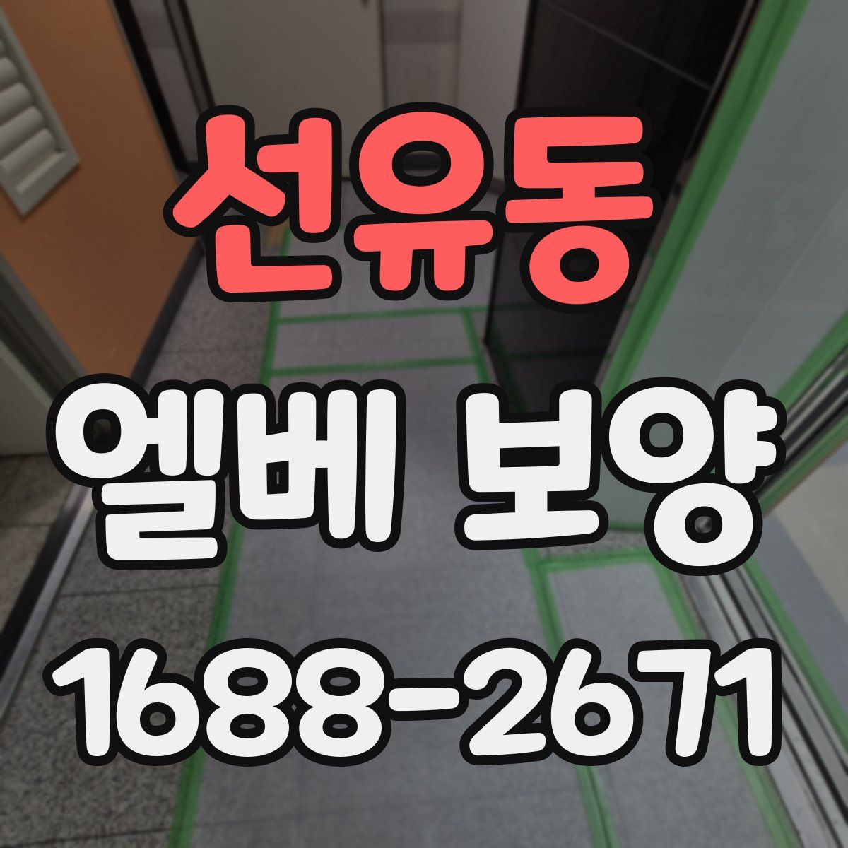 선유동 엘베 보양