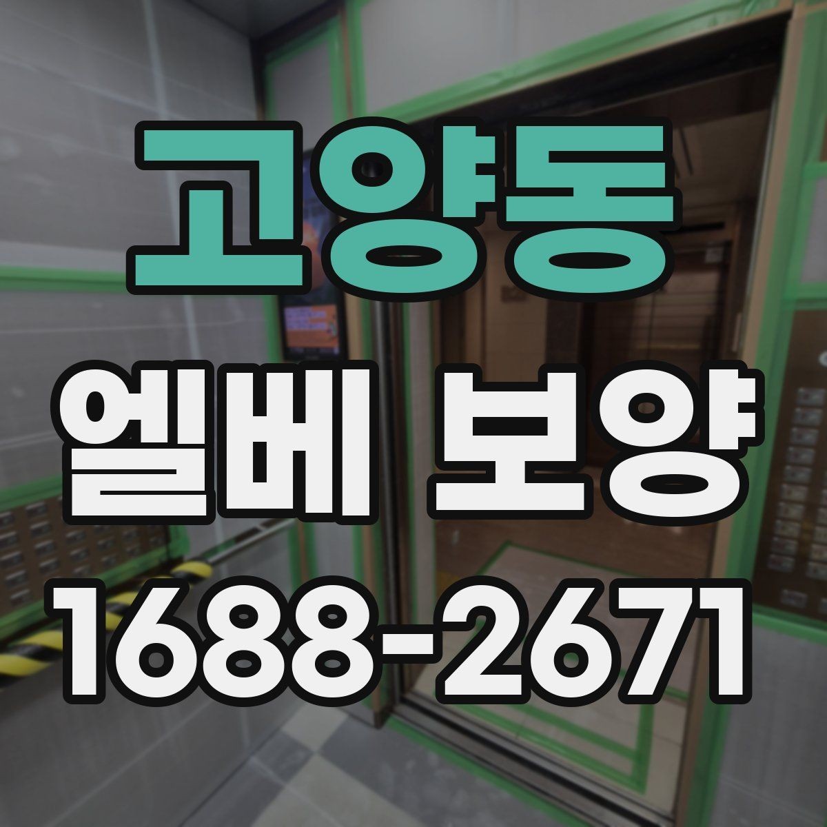 고양동 엘베 보양 바닥 벽면 거울 자재를 구분하는 이유