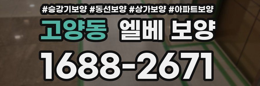고양동 엘베 보양