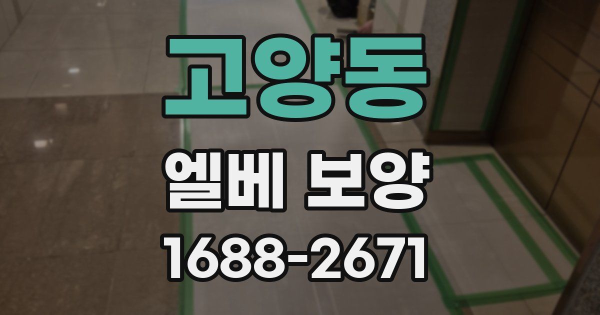 고양동 엘베 보양
