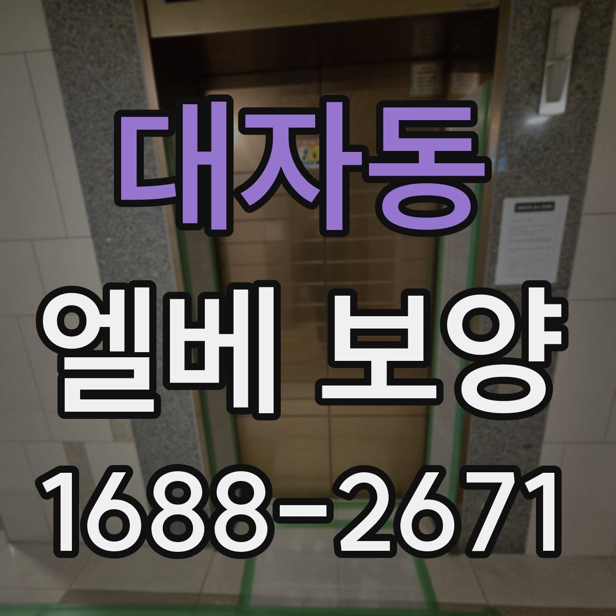대자동 엘베 보양