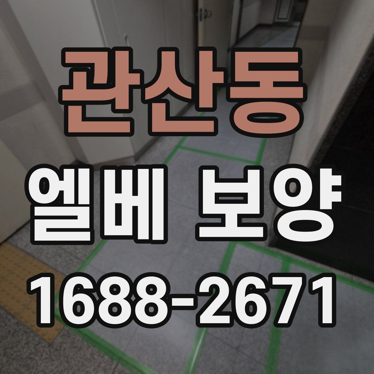 관산동 엘베 보양