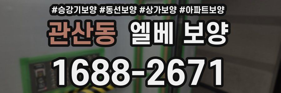관산동 엘베 보양